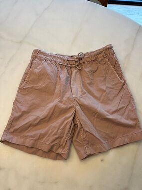 American Eagle Outfitters Mauve Drawstring Shorts